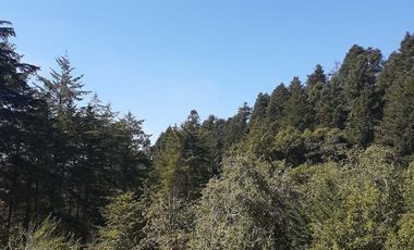 TERRENO EN VENTA EN MINERAL DEL MONTE, HIDALGO.