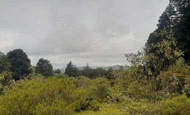 TERRENO EN VENTA EN MINERAL DEL MONTE, HIDALGO.