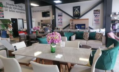 VENTA / RENTA EDIFICIO EN CORREGIDORA