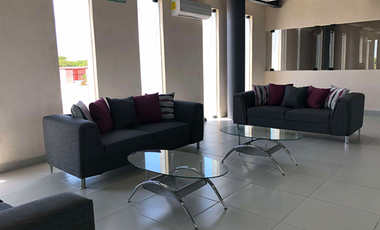 NAVE INDUSTRIAL, PATIO Y OFICINAS EN RENTA EN CIUDAD DEL CARMEN, CAMPECHE.