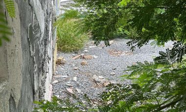 Terreno en Renta – Av. Universidad, Monterrey, N.L.