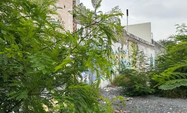 Terreno en Renta – Av. Universidad, Monterrey, N.L.