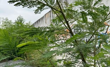 Terreno en Renta – Av. Universidad, Monterrey, N.L.