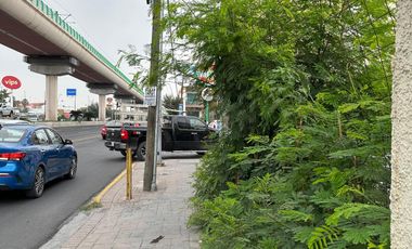 Terreno en Renta – Av. Universidad, Monterrey, N.L.