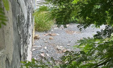 Terreno en Renta – Av. Universidad, Monterrey, N.L.