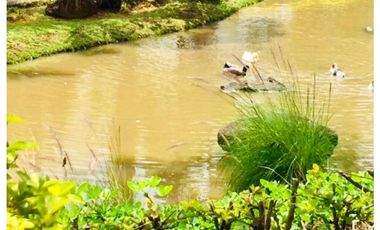 CASA CON VISTA AL LAGO Y ZONA VERDE EN PANCE