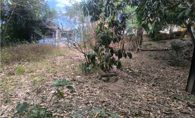 VENDE CASA LOTE VILLETA