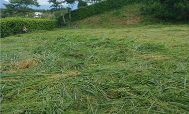 Venta De Lote En Parcelación Sopetran