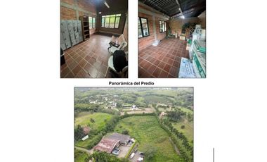 VENTA LOTE BODEGA EN EL SECTOR JAIBANA EN CERRITOS PEREIRA