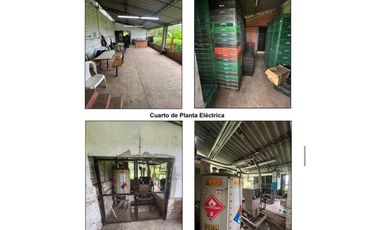 VENTA LOTE BODEGA EN EL SECTOR JAIBANA EN CERRITOS PEREIRA