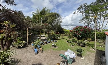VENTA DE FINCA EN MONTENEGRO QUINDO