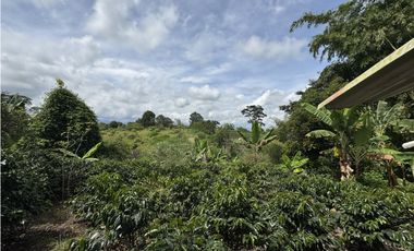 VENTA DE FINCA EN MONTENEGRO QUINDO