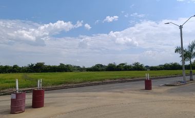 Venta Lotes Jamundi Palmeras De La Italia 2