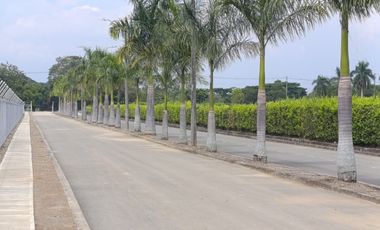 Venta Lotes Jamundi Palmeras De La Italia 2