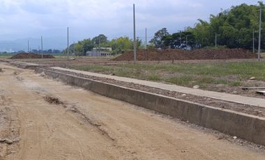 Venta Lotes Jamundi Palmeras De La Italia 2