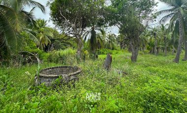 Terreno Beachfront en El Tomatal, Puerto Escondido, Oaxaca