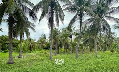 Terreno Beachfront en El Tomatal, Puerto Escondido, Oaxaca