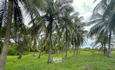 Terreno Beachfront en El Tomatal, Puerto Escondido, Oaxaca