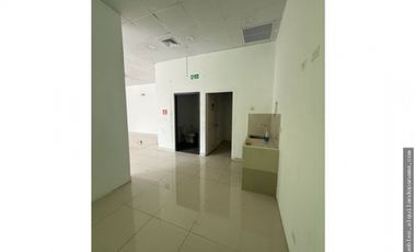 Se Alquila Local en Vía España