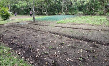 EL VALLE DE ANTON / CASA CAMPESTRE / 3748M / 5 HABITACION  AG