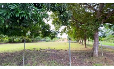 COCLE / RIO HATO / 1184M / TOTALMENTE PLANO / IDEAL PARA DESARROLLO