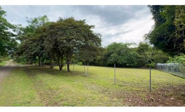 COCLE / RIO HATO / 1184M / TOTALMENTE PLANO / IDEAL PARA DESARROLLO