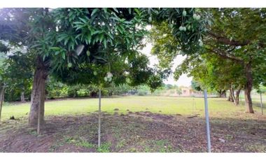 COCLE / RIO HATO / 1184M / TOTALMENTE PLANO / IDEAL PARA DESARROLLO