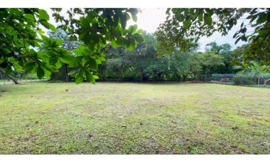 COCLE / RIO HATO / 1184M / TOTALMENTE PLANO / IDEAL PARA DESARROLLO