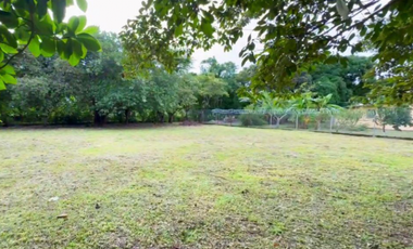 COCLE / RIO HATO / 1184M / TOTALMENTE PLANO / IDEAL PARA DESARROLLO