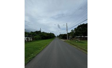 COCLE / RIO HATO / 1184M / TOTALMENTE PLANO / IDEAL PARA DESARROLLO