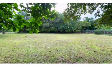 COCLE / RIO HATO / 1184M / TOTALMENTE PLANO / IDEAL PARA DESARROLLO