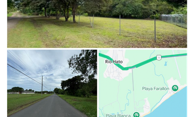 COCLE / RIO HATO / 1184M / TOTALMENTE PLANO / IDEAL PARA DESARROLLO