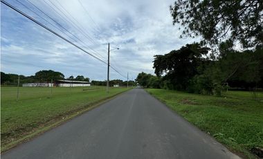 COCLE / RIO HATO / 1184M / TOTALMENTE PLANO / IDEAL PARA DESARROLLO