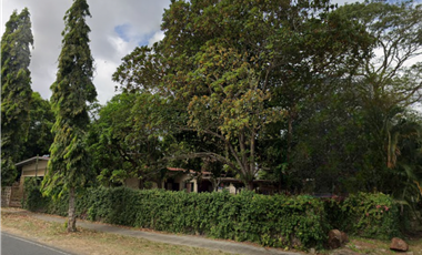 Terreno Comercial en venta en El Centro de La Chorrera (DR)