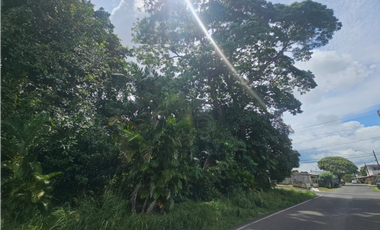 Terreno Comercial en venta en El Centro de La Chorrera (DR)