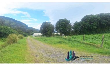 SE VENDE 2 Hectáreas , Boquete, Alto Lino, $500.000