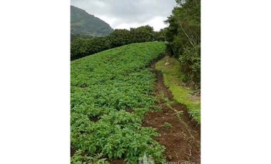 SE VENDE 2 Hectáreas , Boquete, Alto Lino, $500.000