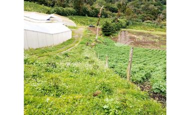 SE VENDE 2 Hectáreas , Boquete, Alto Lino, $500.000