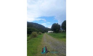 SE VENDE 2 Hectáreas , Boquete, Alto Lino, $500.000