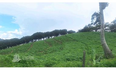 SE VENDE 2 Hectáreas , Boquete, Alto Lino, $500.000