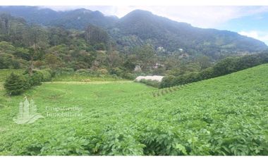 SE VENDE 2 Hectáreas , Boquete, Alto Lino, $500.000