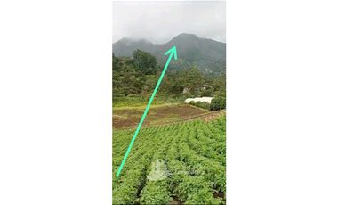 SE VENDE 2 Hectáreas , Boquete, Alto Lino, $500.000