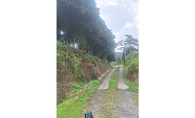 SE VENDE 2 Hectáreas , Boquete, Alto Lino, $500.000