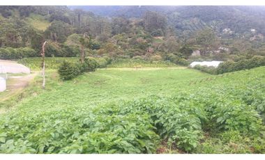 SE VENDE 2 Hectáreas , Boquete, Alto Lino, $500.000