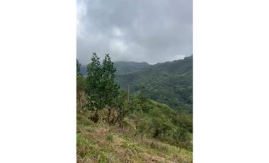 COCLE / EL VALLE DE ANTON / LAS NUBES / 3888M / TERRENO /  AG