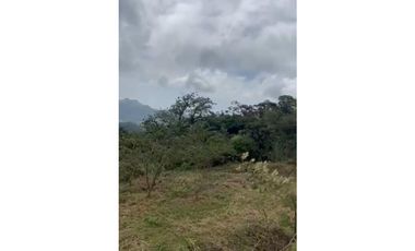 COCLE / EL VALLE DE ANTON / LAS NUBES / 3888M / TERRENO /  AG