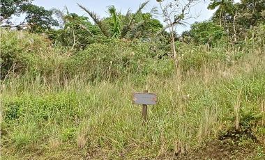 COCLE / EL VALLE DE ANTON / LAS NUBES / 3888M / TERRENO /  AG