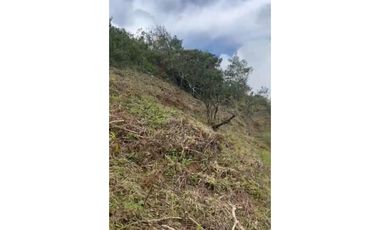 COCLE / EL VALLE DE ANTON / LAS NUBES / 3888M / TERRENO /  AG