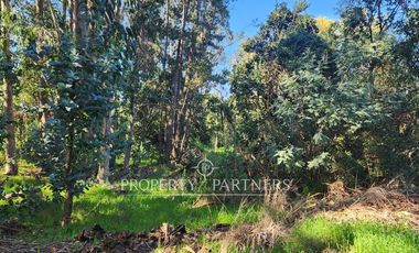 Villa Italia parcela con piscina