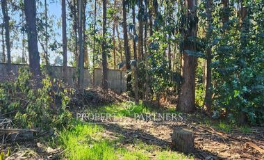 Villa Italia parcela con piscina